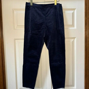 Banana Republic International Exclusive Skinny Navy Velvet Ankle Pants Size 10P